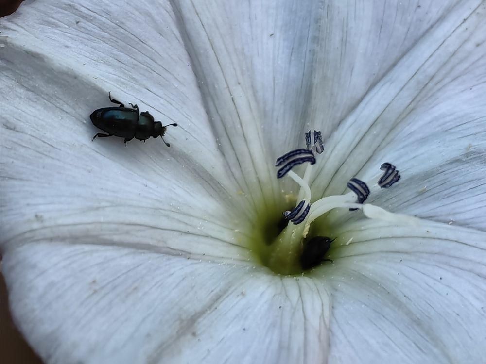 Photograph by Сергей Гриднев