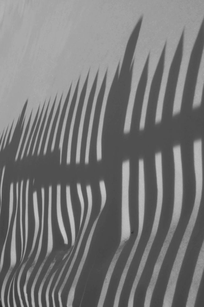 В королевстве кривых теней.