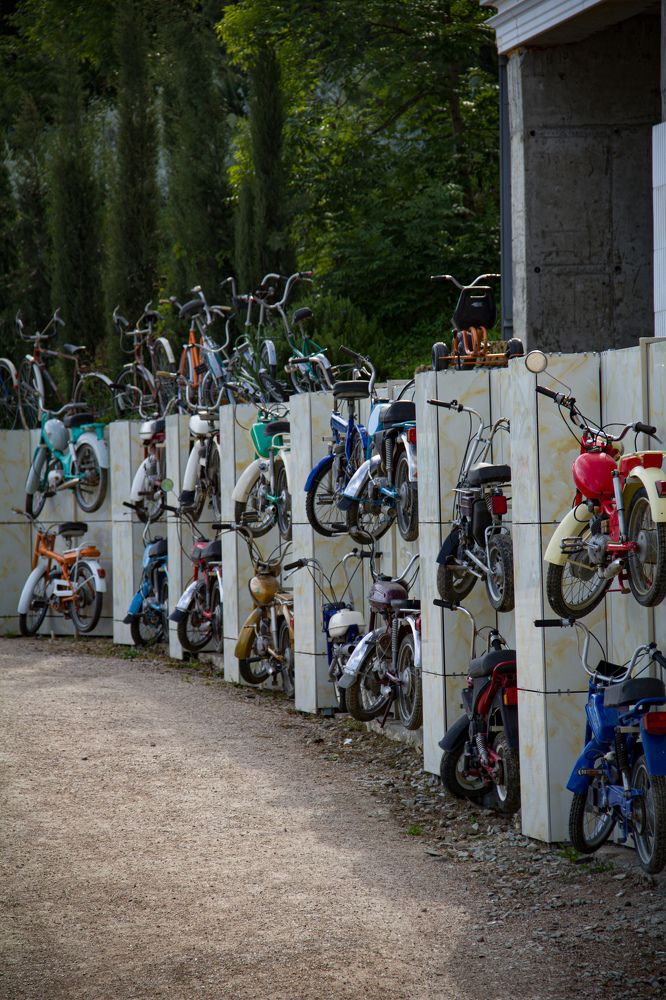 Photograph by Dmitry Levchenko