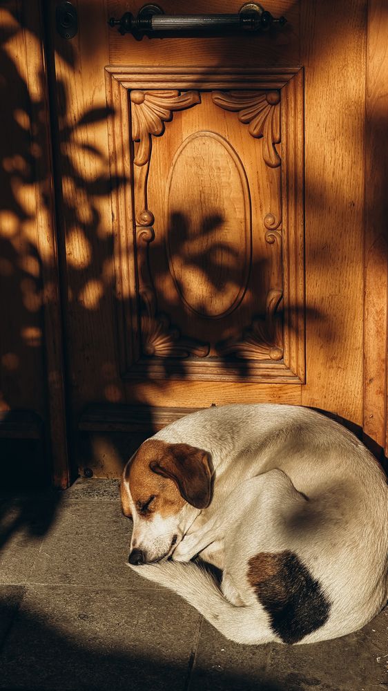 Photograph by Екатерина Нальгиева