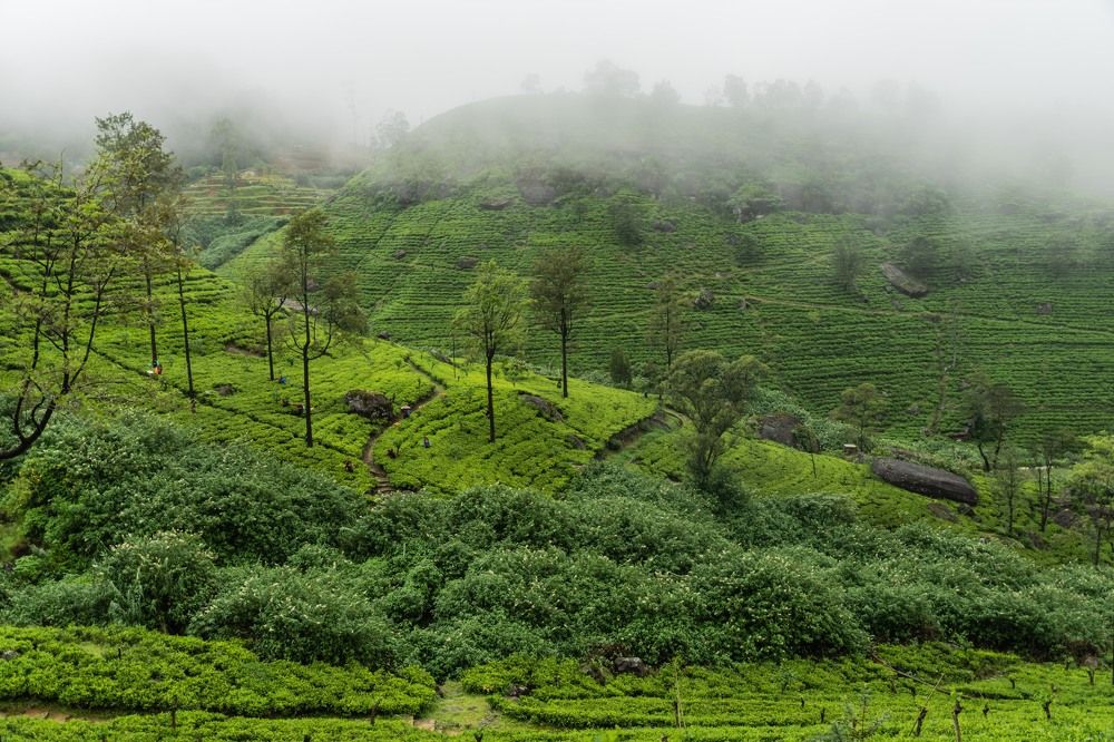 Photograph by Татьяна