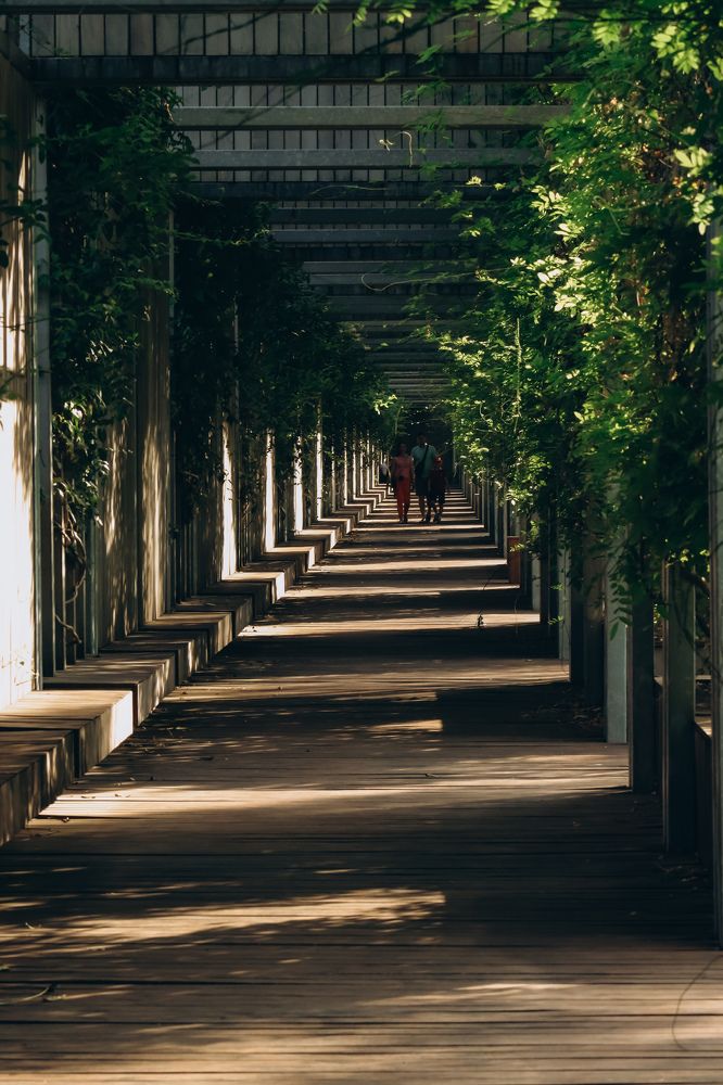 Photograph by Екатерина Нальгиева