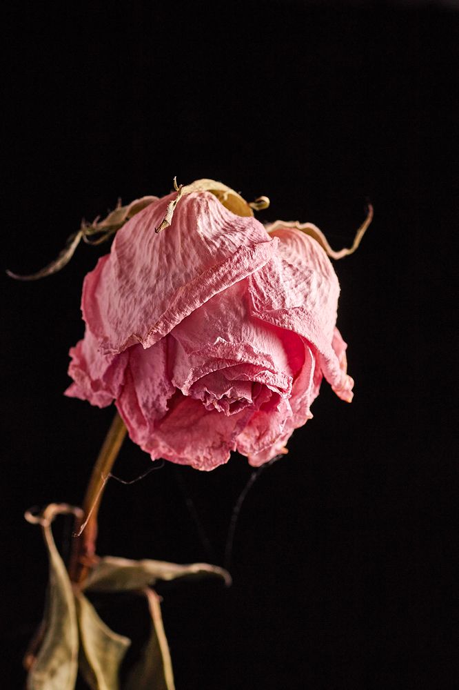 Photograph by Сергей Кириллов