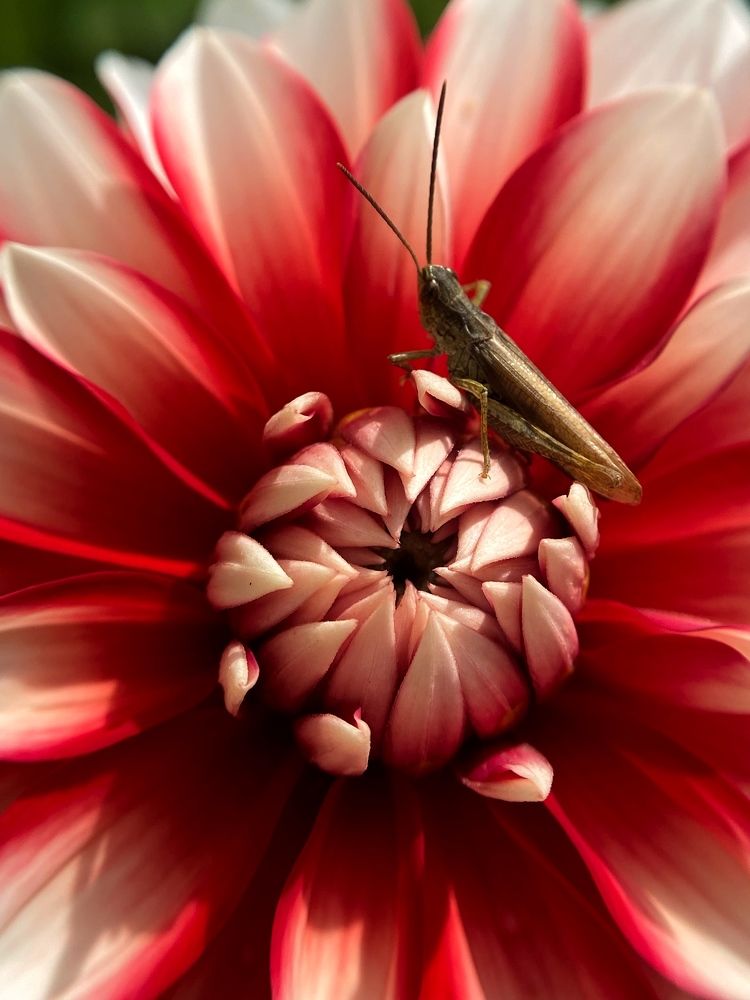 Photograph by Станислава Садыкова