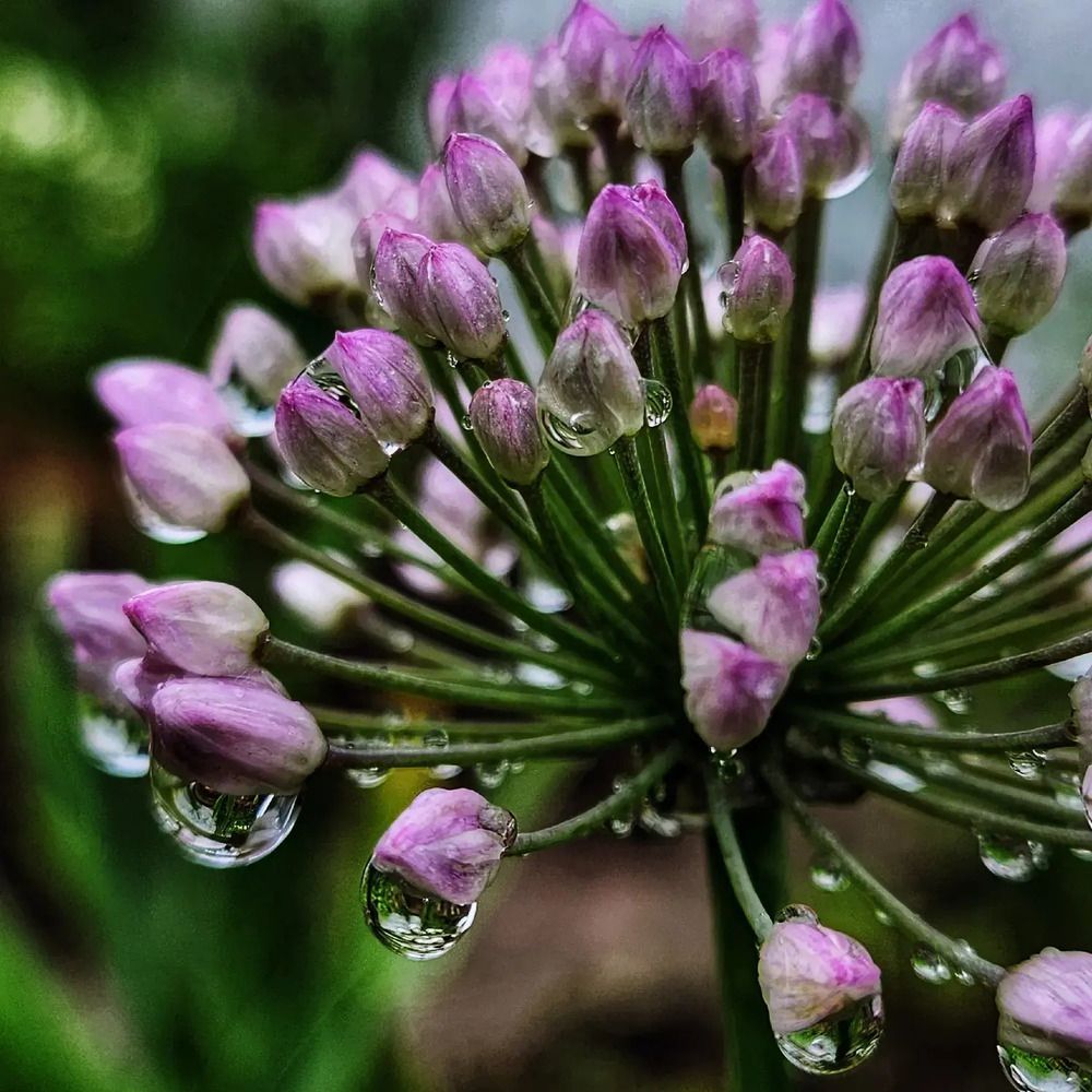 Фотография автора Татьяна