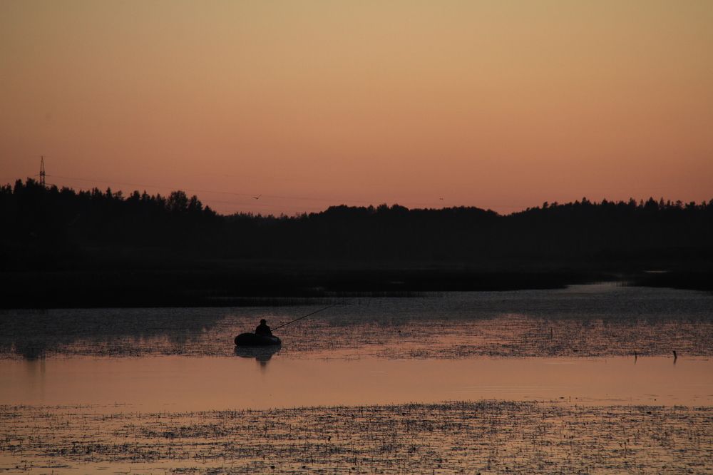 Фотография автора Анастасия Зверева
