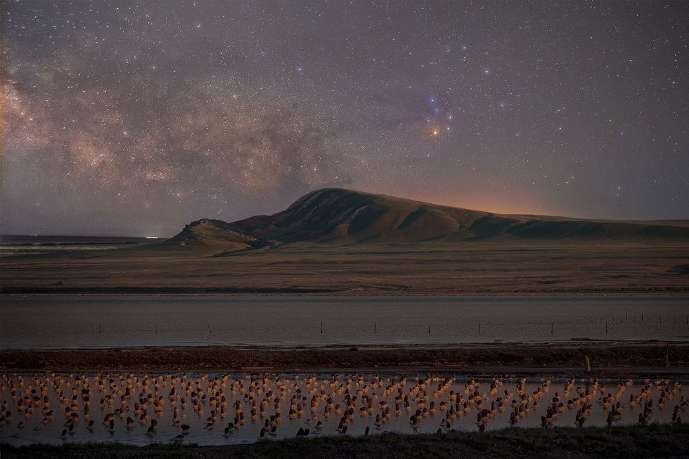 Photograph by Olga Semisotova