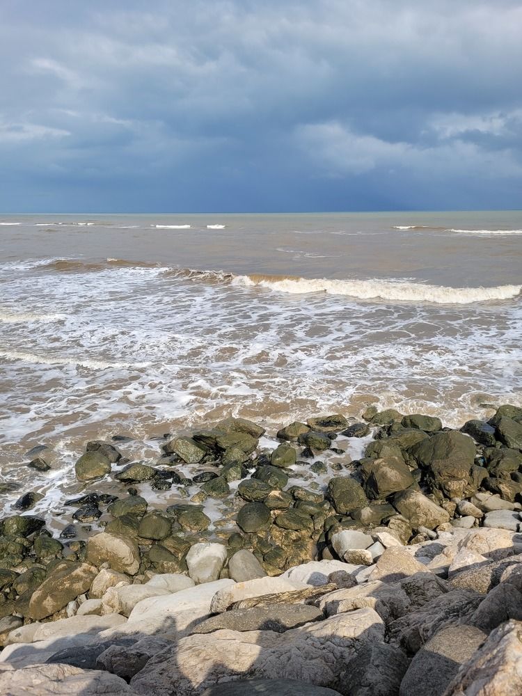 Photograph by hana hakima