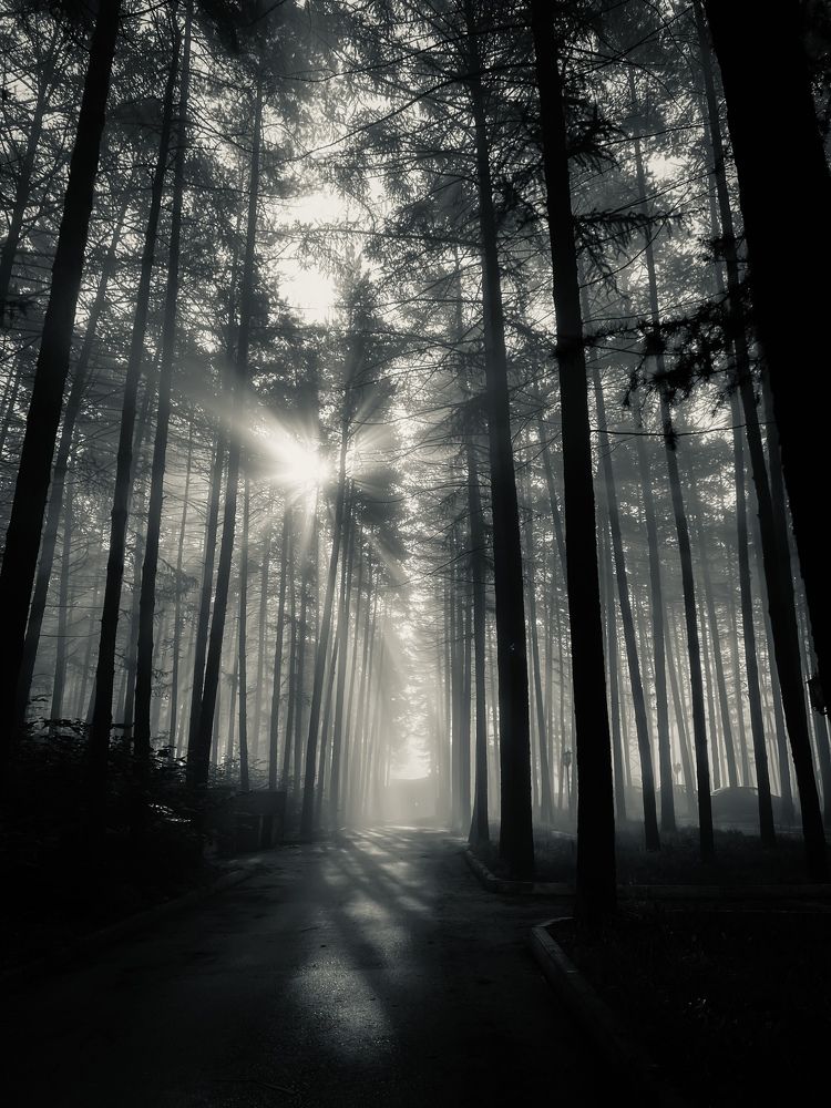 Photograph by Екатерина Ревина