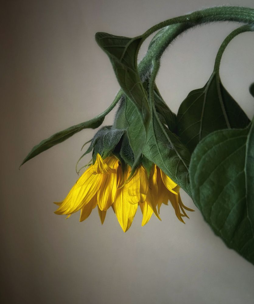 Photograph by Кира Бахвалова