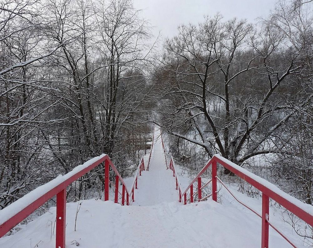 Photograph by Игорь Меньшенин