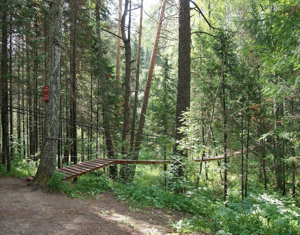 Photograph by Игорь Меньшенин