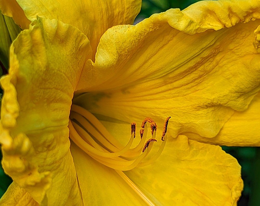 Photograph by 