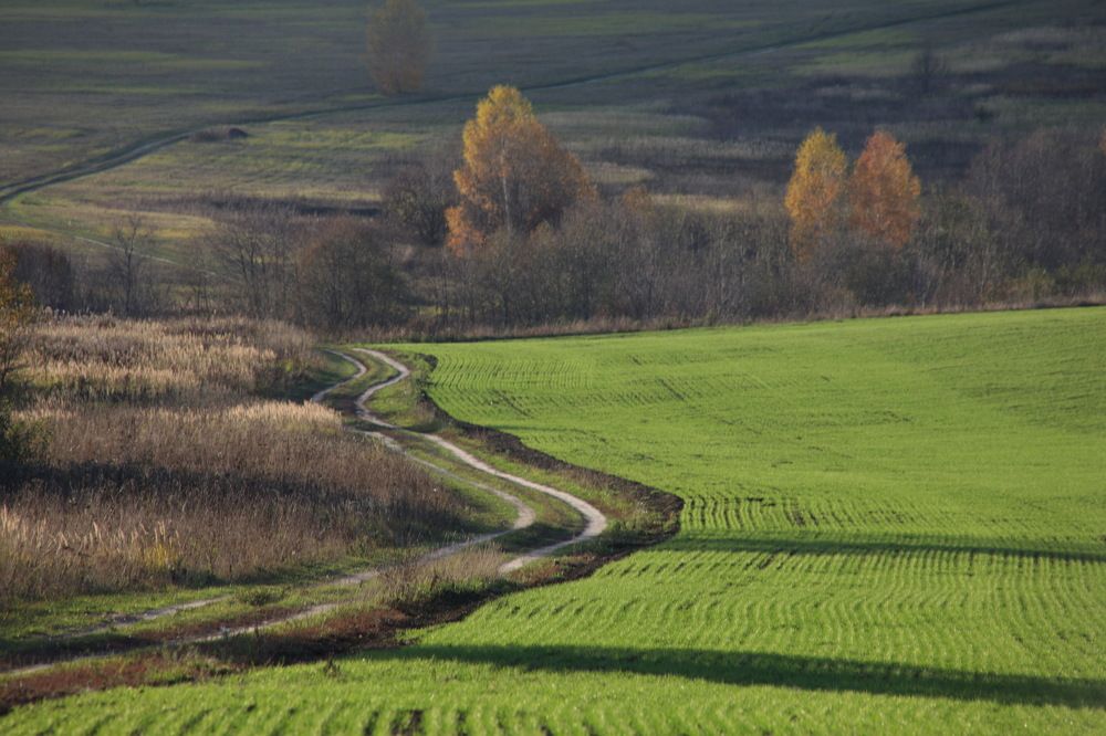 Photograph by Пётр Соколов