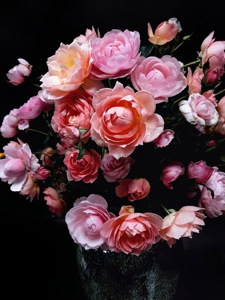 Photograph by NGUYEN LIEN