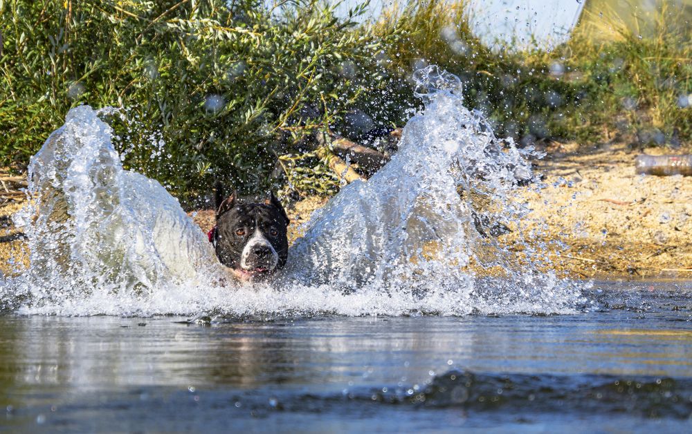 Фотография автора Андрей Жданов