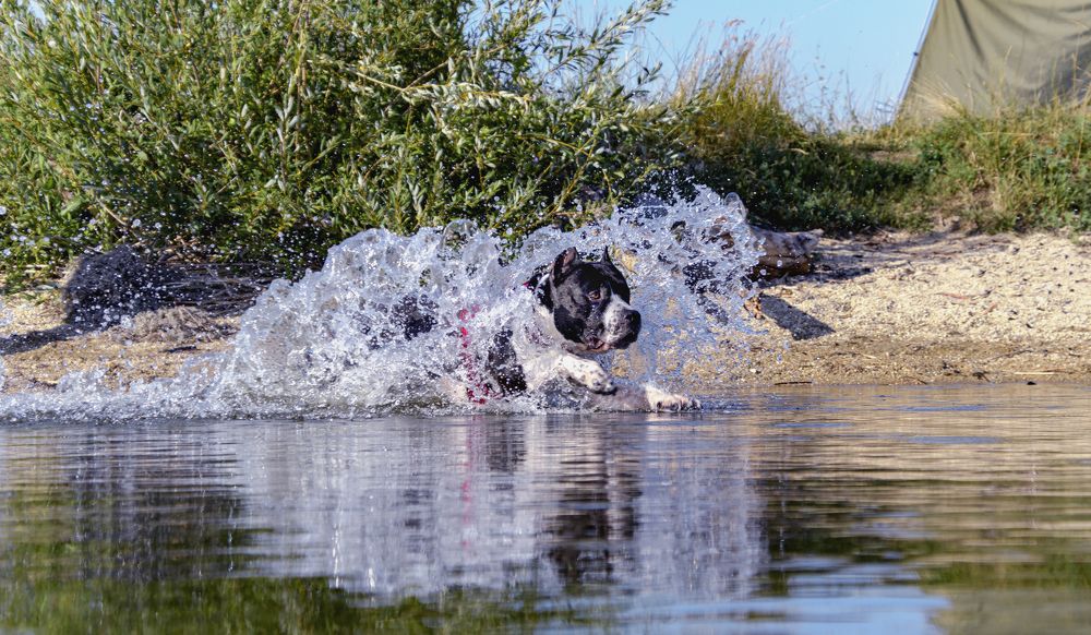 Фотография автора Андрей Жданов