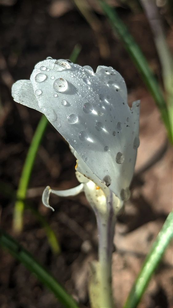 Фотография автора Васильева Ирина