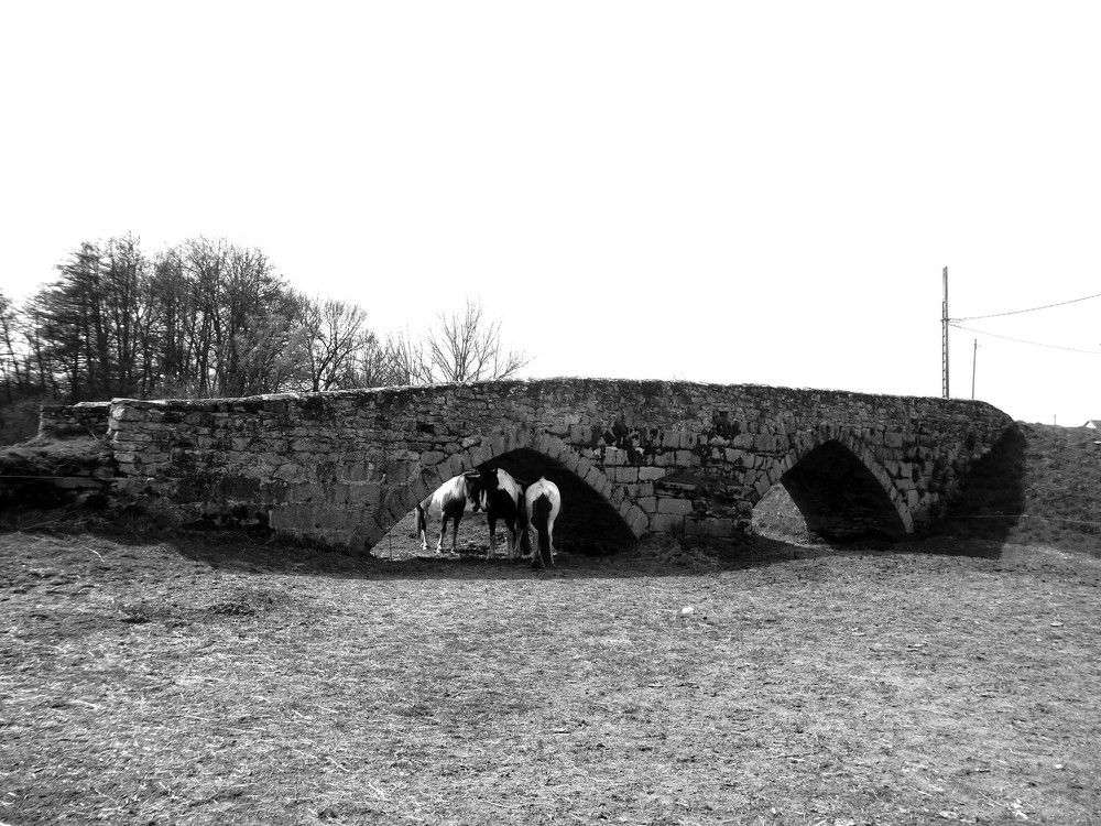 Фотография автора Nicole Thévenon