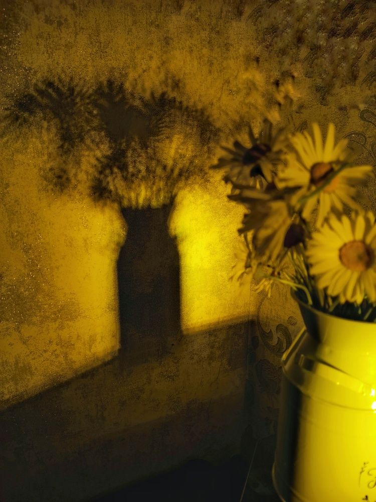 Photograph by Irina Luidinshina