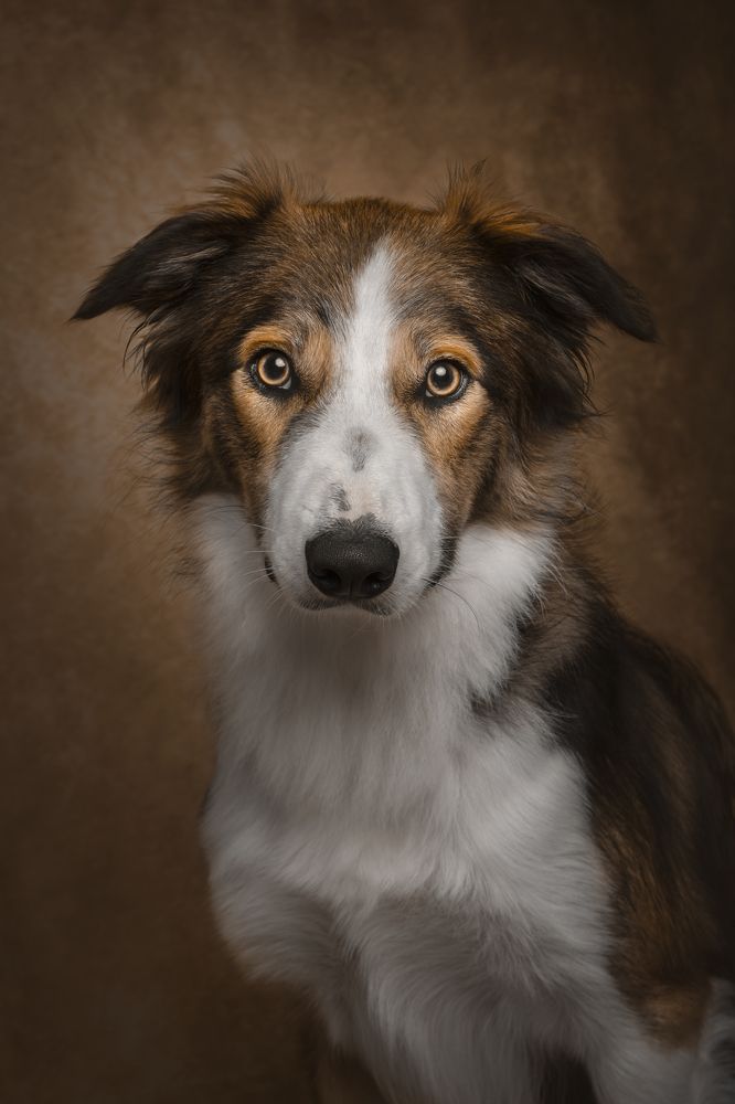 Фотография автора Annemarie Visser