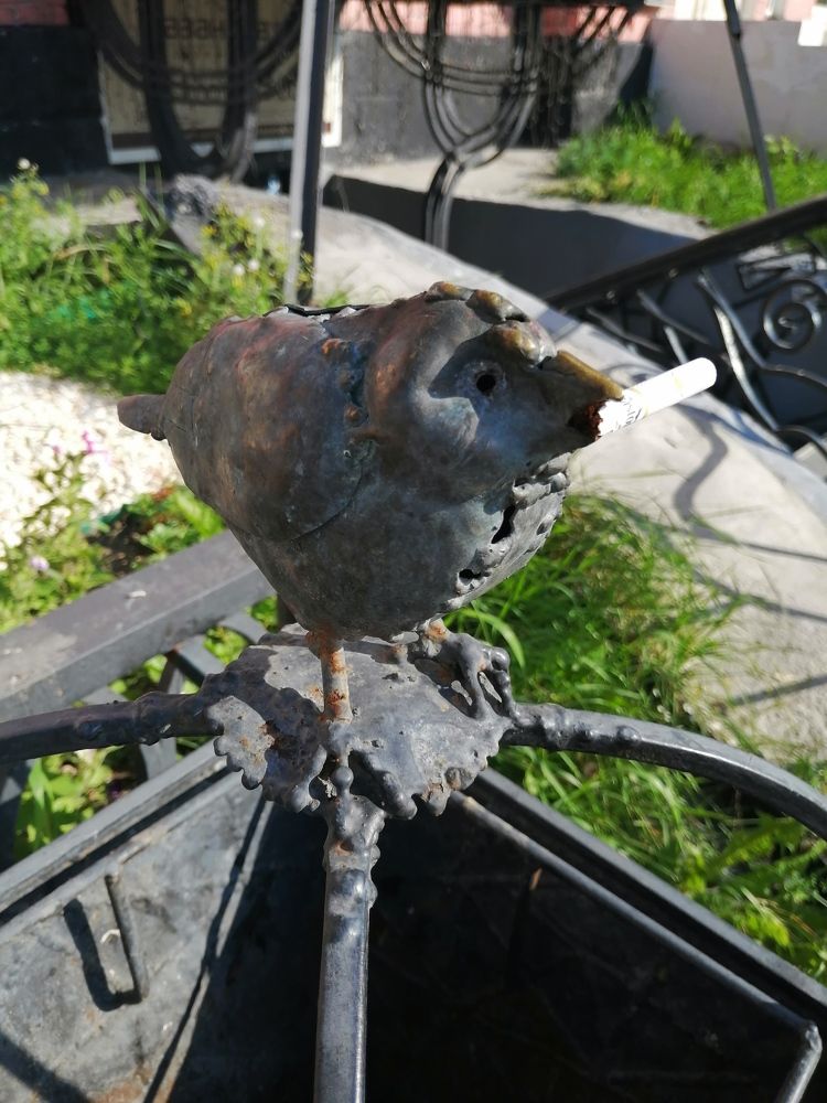 Photograph by Наталия