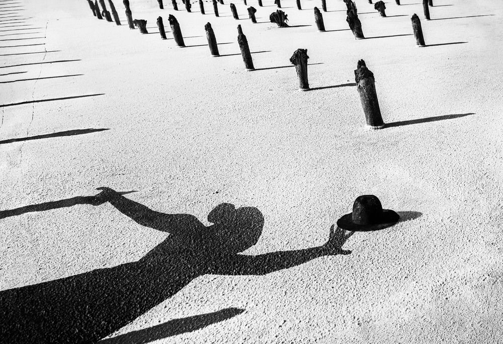 Фотография автора Мария Приставская (Буданова)