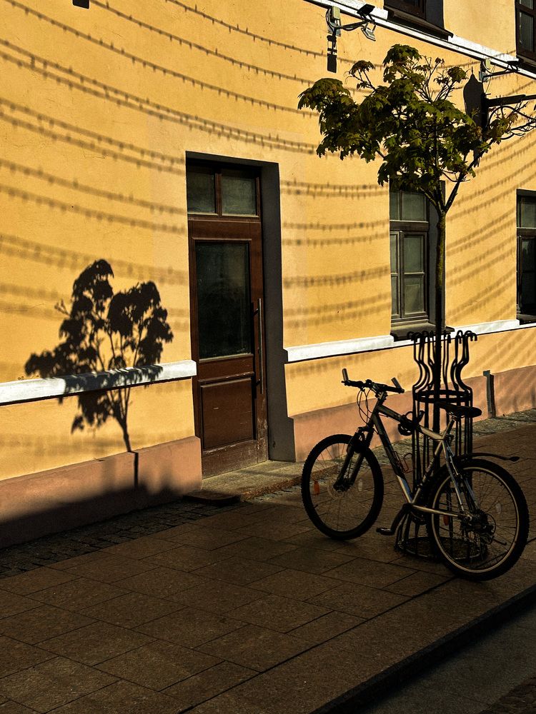 Photograph by Ириша Гайдель