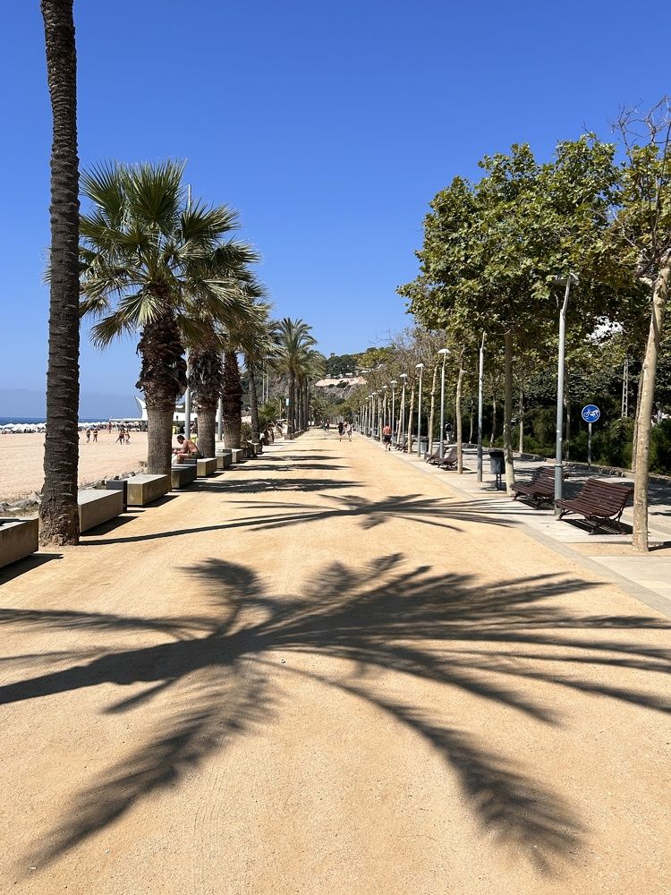 Photograph by Ириша Гайдель