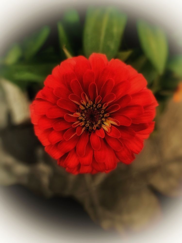 Фотография автора reyhane  khavaninzadeh