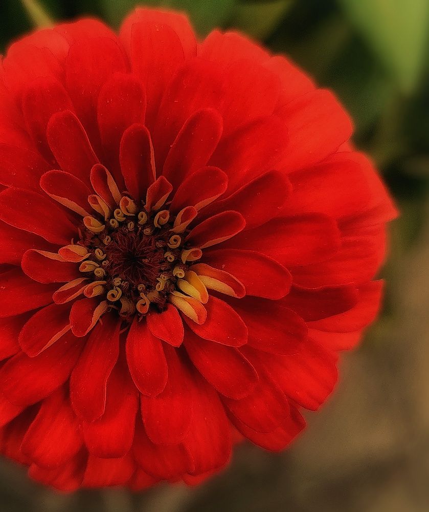 Фотография автора reyhane  khavaninzadeh