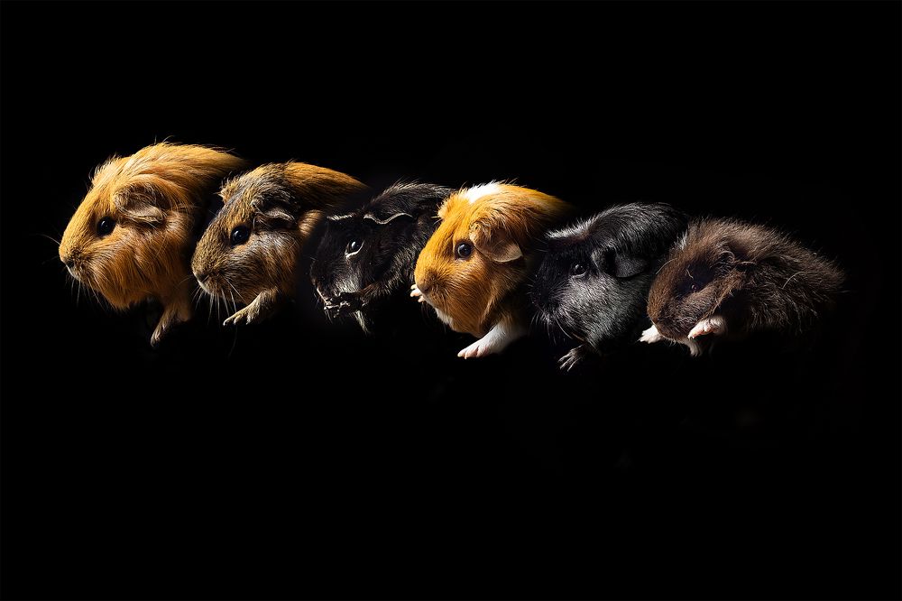 Photograph by Spasskova Tatiana