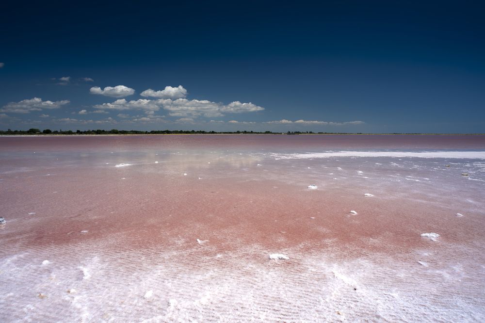 Photograph by Stephane Huybrechts