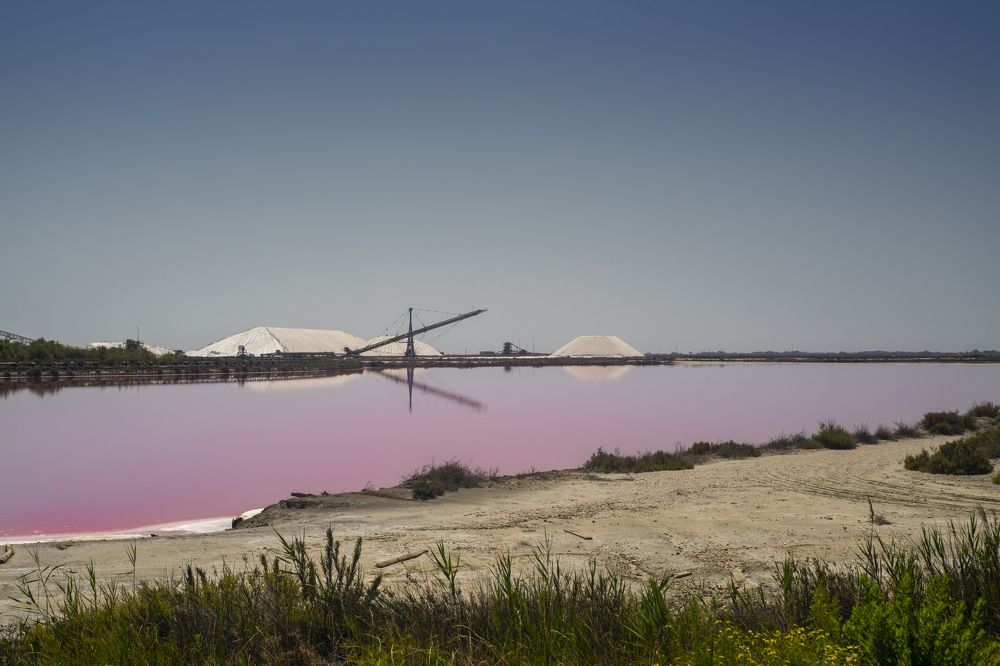 Photograph by Stephane Huybrechts