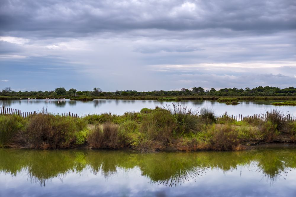 Photograph by Stephane Huybrechts