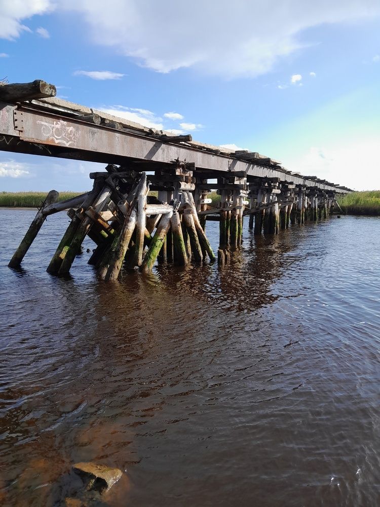 Photograph by Виталий