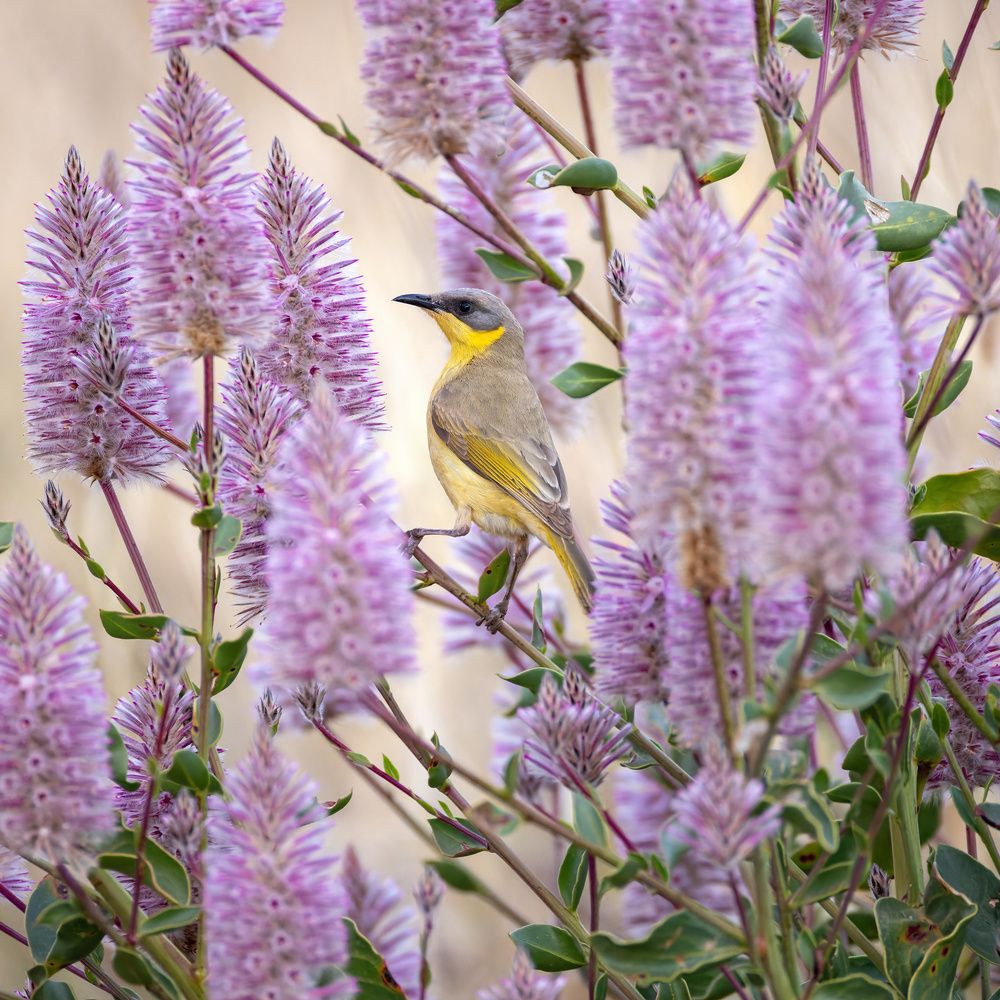 Photograph by Alexander Babych