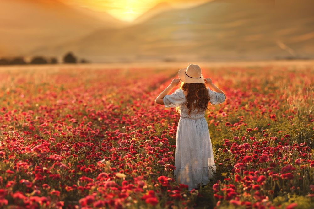 Photograph by Sonia Lazdin