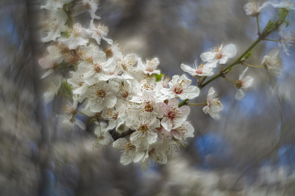 Photograph by Алексей Мякота