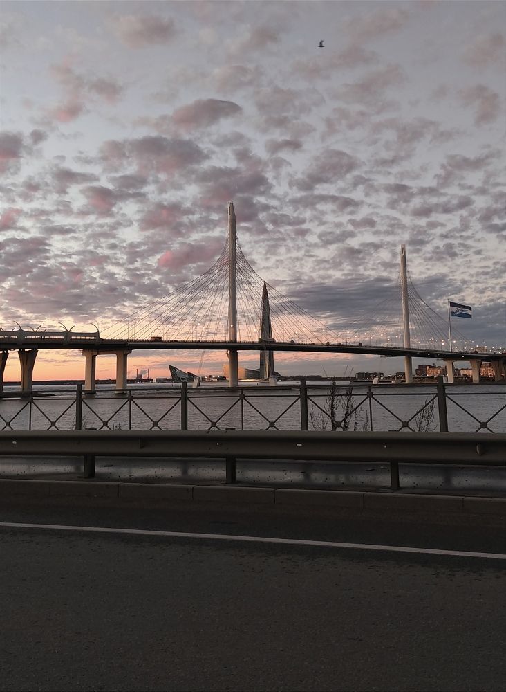 Фотография автора Яна Сергеева