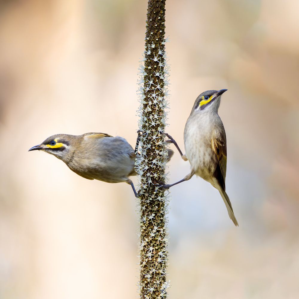 Photograph by Alexander Babych