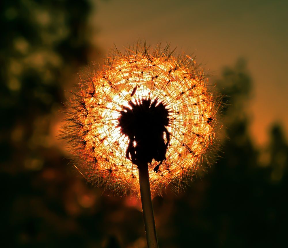 Фотография автора Straand2614