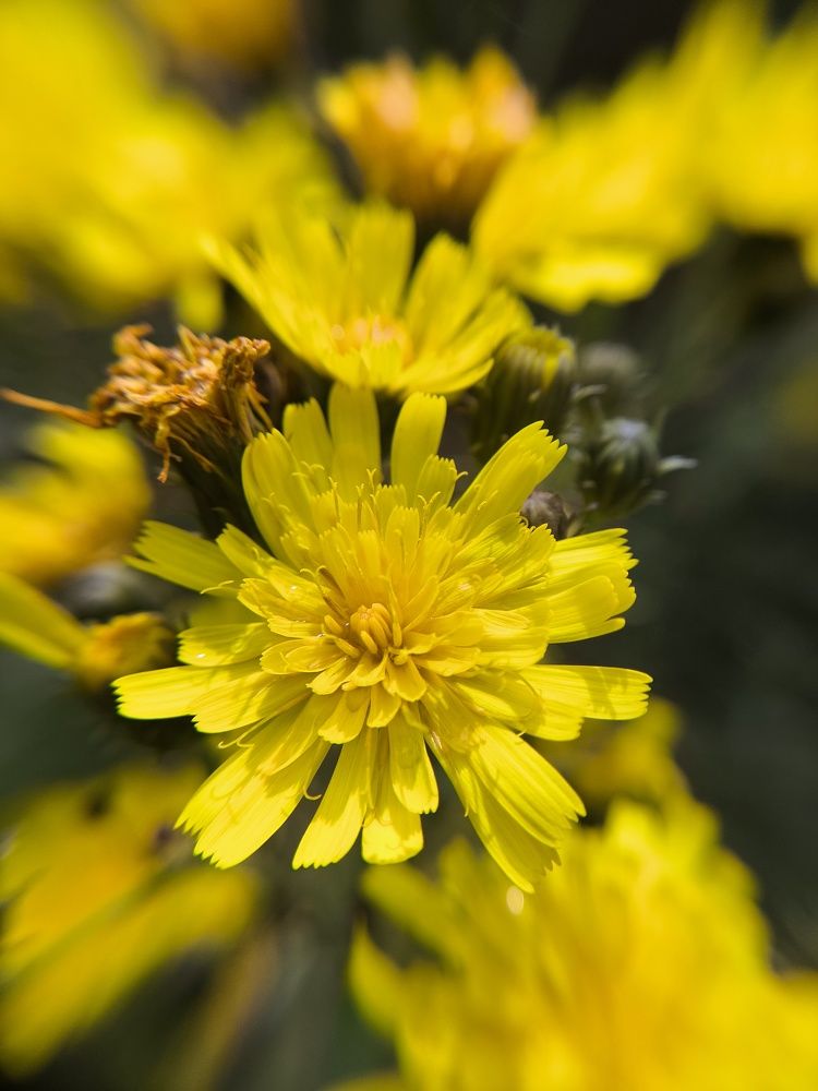 Photograph by Микка