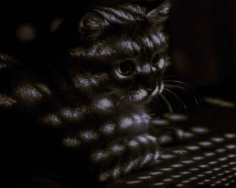 Световые иллюзии