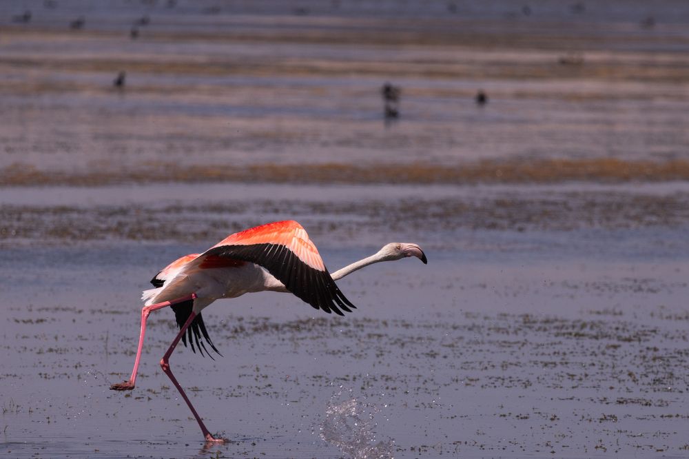 Photograph by Mahmut YILMAZ