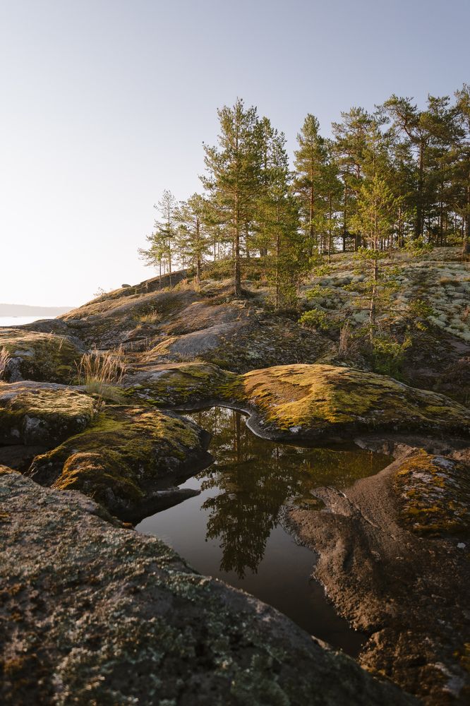 Photograph by Сергей Дивид