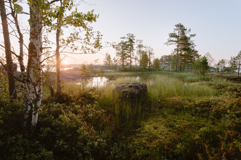 Photograph by Сергей Дивид