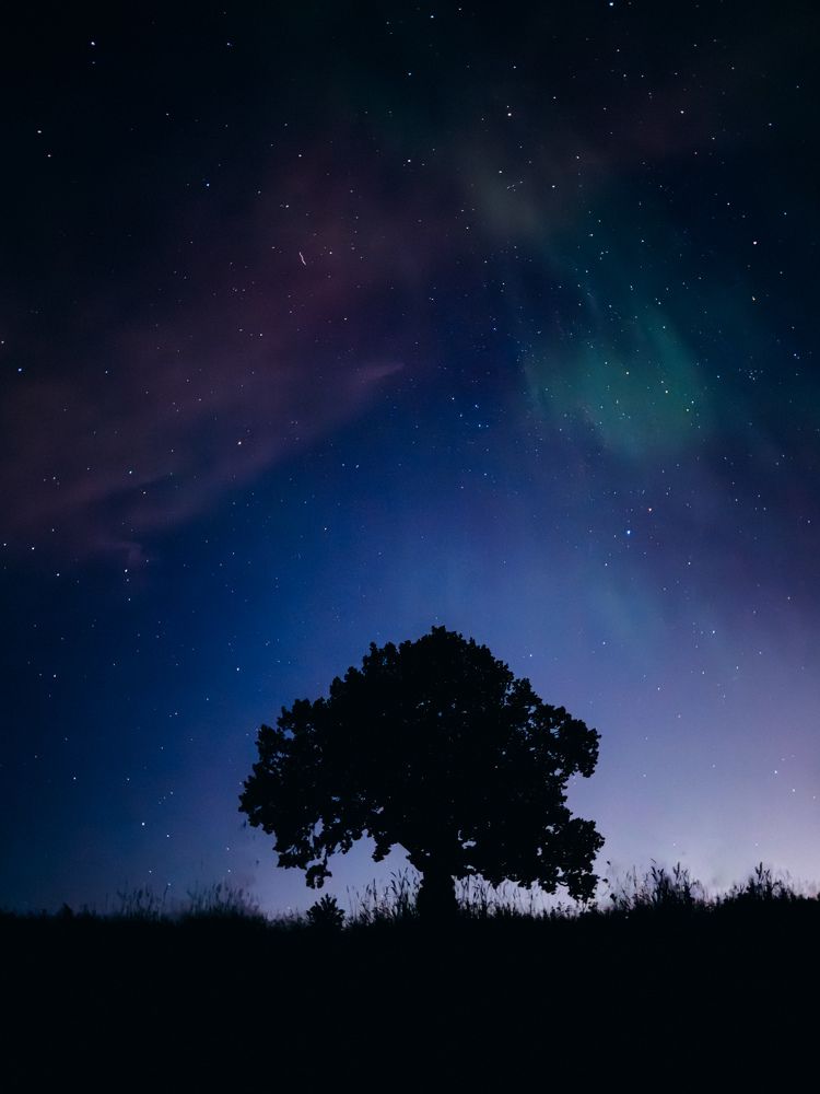 Photograph by Алиса Нежинская