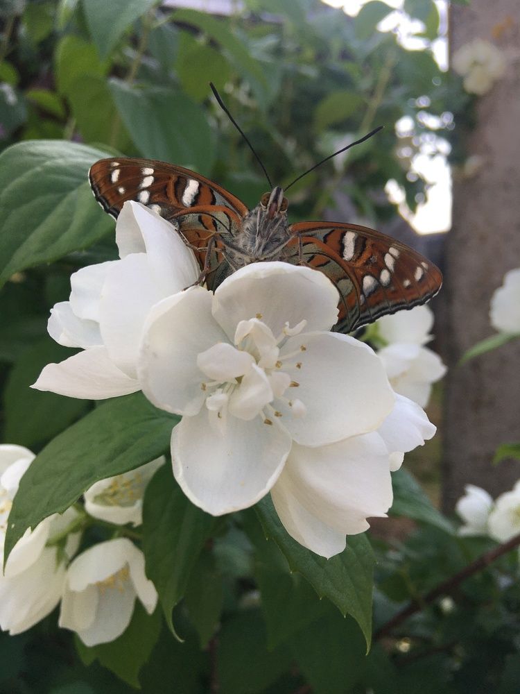 Photograph by Ольга Рубцова