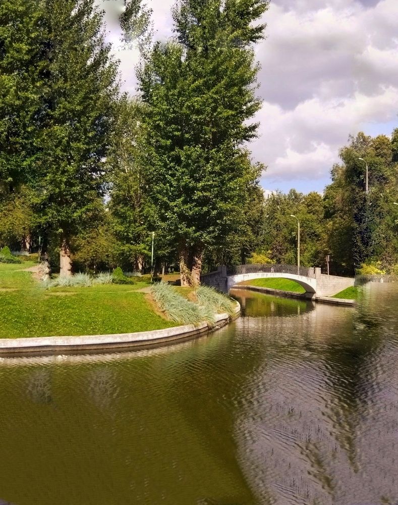 Photograph by Анастасия Липаткина